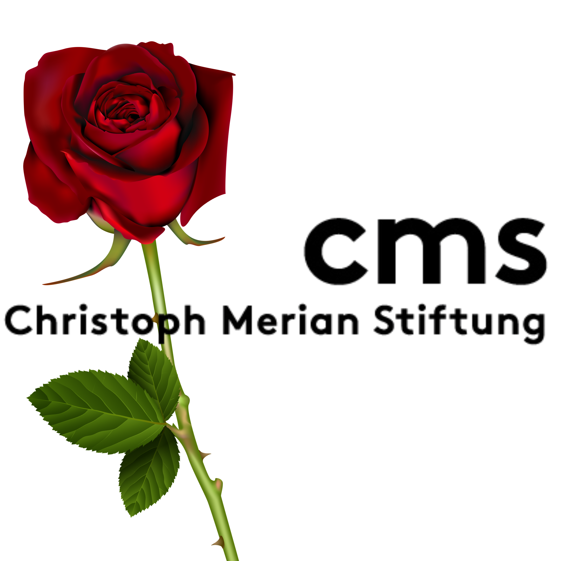 JuAr_Social_Media(128)